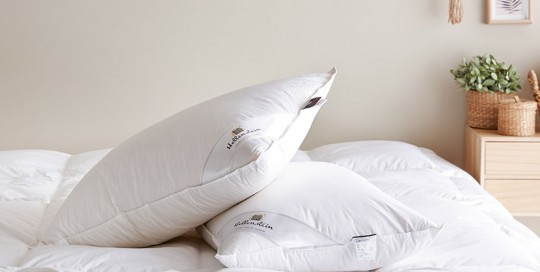 Premium Goose Pillow